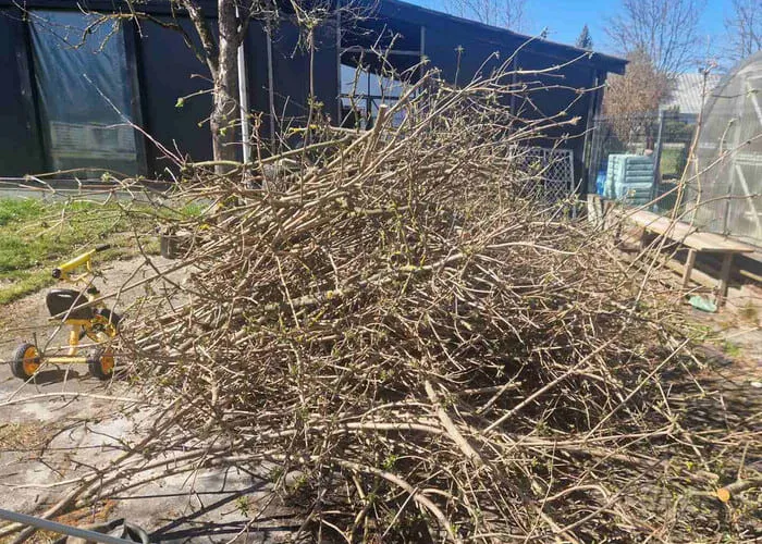 Šakų, krūmų, kelmų ir kitų žaliųjų atliekų išvežimas